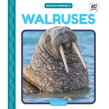 Walruses