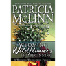 Wyoming Wildflowers: The Beginning: Wyoming Wildflowers, Book 1