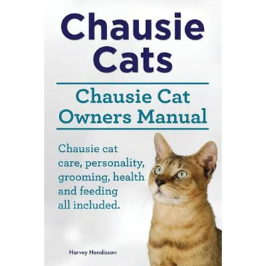Chausie Cats. Chausie Cat Owners Manual. Chausie cat care, personality, grooming, health and feeding all included.