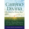 Camino Divina--Walking the Divine Way: A Book of Moving Meditations with Likely and Unlikely Saints
