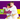 Judo