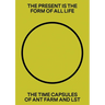 The Present Is the Form of All Life: The Time Capsules of Ant Farm and Lst