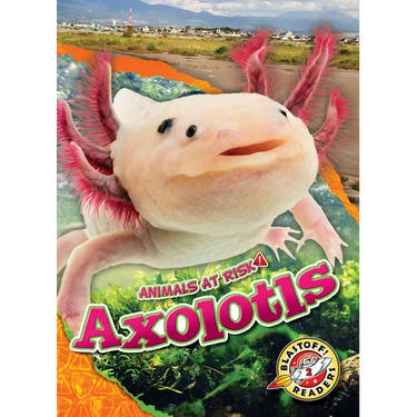 Axolotls