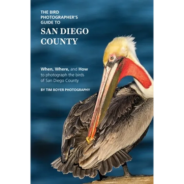 The Bird Photographer's Guide to San Diego County: When, Where, and How to photograph the birds of San Diego County