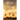 Still Time: Reflections on Aging