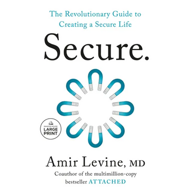 Secure: The Revolutionary Guide to Creating a Secure Life