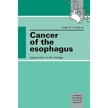 Cancer of the Esophagus: Approaches to the Etiology