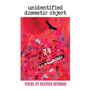 unidentified domestic object