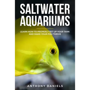 Saltwater Aquariums: Learn How to Properly Set Up Your Tank and Make Your Fish Thrive