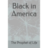 Black in America