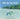Billy the Sea Turtle
