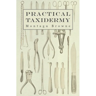 Practical Taxidermy: A Manual of Instruction to the Amateur in Collecting, Preserving, and Setting up Natural History Specimens of All Kinds. To Which