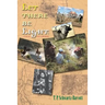 Let There Be Light: Five Stories
