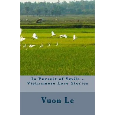 In Pursuit of Smile - Vietnamese Love Stories