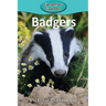 Badgers