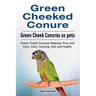 Green Cheeked Conure. Green Cheek Conures as pets. Green Cheek Conures Keeping, Pros and Cons, Care, Housing, Diet and Health.