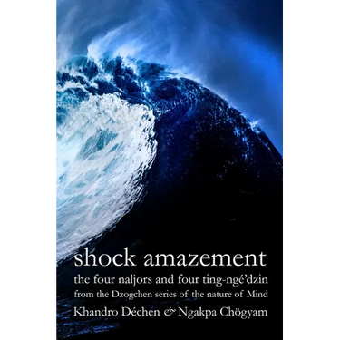 Shock Amazement