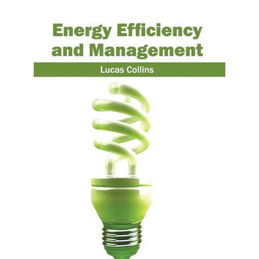 Energy Efficiency and Management