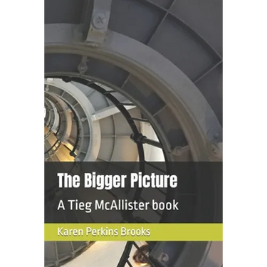 The Bigger Picture: A Tieg McAllister book
