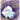 Sleepy Purple Panda