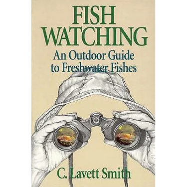 Fish Watching