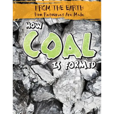 How Coal Is Formed