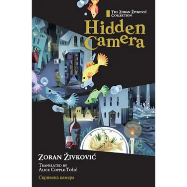 Hidden Camera