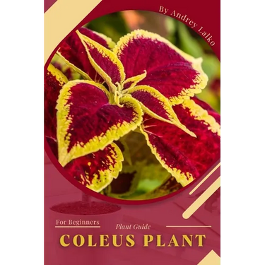 Coleus Plant: Plant Guide