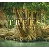 Remarkable Trees of Virginia