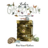 Codex Gastropoda: A Visual Meditation