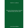 What Are Consciousness, Animacy, Mental Activity and the Like?