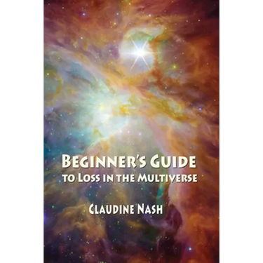 Beginner's Guide to Loss in the Multiverse