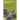 Kinship, Business, and Politics: The Martinez del Rio Family in Mexico, 1823-1867