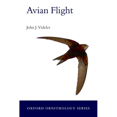 Avian Flight