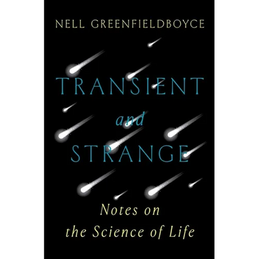 Transient and Strange: Notes on the Science of Life