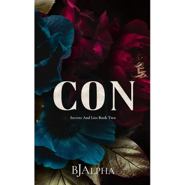 Con Discreet Cover: Secrets and Lies Discreet Cover Book 2