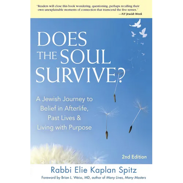 Does the Soul Survive? (2nd Edition): A Jewish Journey to Belief in Afterlife, Past Lives & Living with Purpose