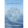 Hydrangea