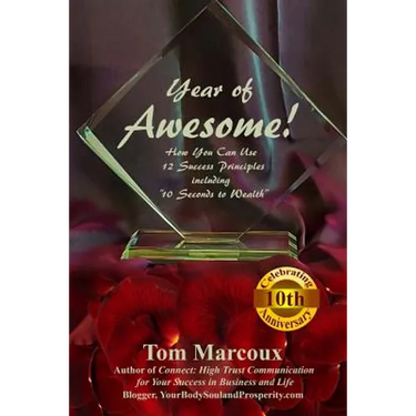 Year of Awesome!: How You Can Use 12 Success Principles Including 10 Seconds to Wealth