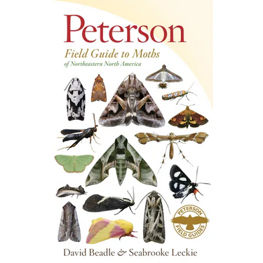 Peterson Field Guide to Moths of Northeastern North America