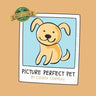 Picture Perfect Pet