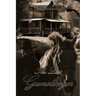 The Last Gunslinger