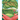 Little Whisperer and the Butterfly: In the Realms of Dreamy-Dream Land