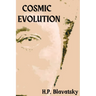 Cosmic Evolution