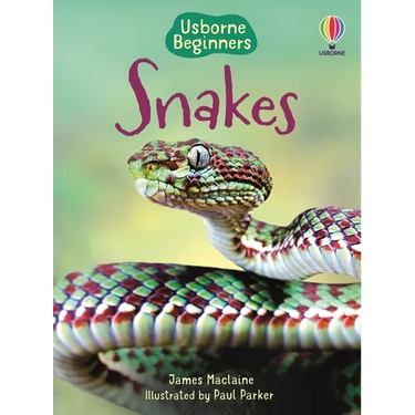 Snakes (Usborne Beginners)
