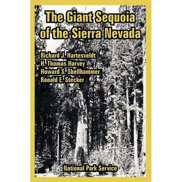 The Giant Sequoia of the Sierra Nevada
