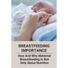 Breastfeeding Importance: How And Why Maternal Breastfeeding Is Not Only About Nutrition