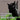 The Adventures of Little Blackie and Friends