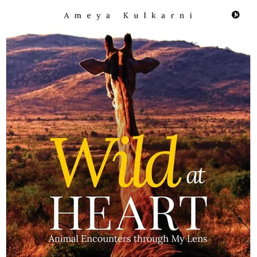 Wild at Heart: Animal Encounters through My Lens