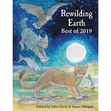 Rewilding Earth: Best of 2019